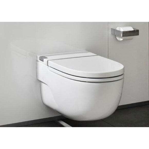 Επιτοίχιες (κρεμαστές)