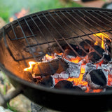 Καθαριστικό Fast Clean για Τζάκια & Μπάρμπεκιου 750ml Durostock