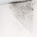 Μυκητοκτόνο Καθαριστικό Μούχλας DeSalin™ AM 500ml Nanophos