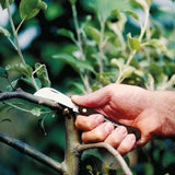 Σουγιάς Κήπου Εμβολιασμού Κυρτός K62 Fiskars