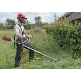 Θαμνοκοπτικό Μεσινέζας 20V 0255CA